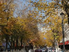 -正飞鲜奶(公园北街店)