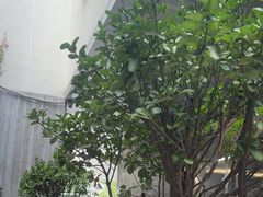 -老梦面包CHEZMOREL(麦子店)