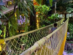 -正佳雨林生态植物园