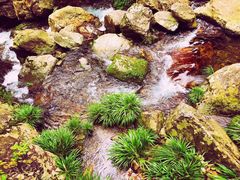 -井冈山风景名胜区