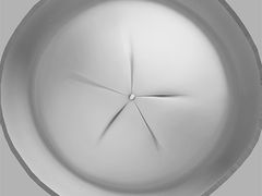 -李宁(大商新玛特店)