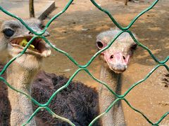 -大连铭湖国际观光牧场