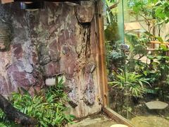 -上海大自然野生昆虫馆(东方明珠·爬宠昆虫探索中心)