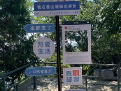 -香山公园
