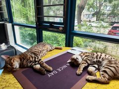 -路路通百辰汽车服务连锁(三合店)