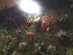 -味之绝热血美蛙鱼火锅(中坝店)