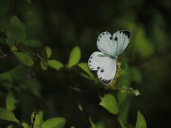 -崂山九水游览区