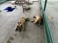 -秦皇岛野生动物园