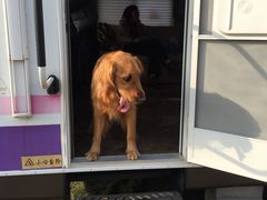 -明珠湖天鹅苑·农家菜馆