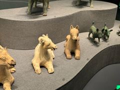 -广西壮族自治区博物馆