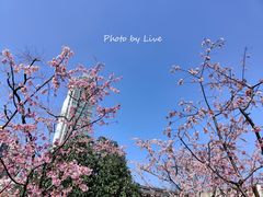 -静安雕塑公园