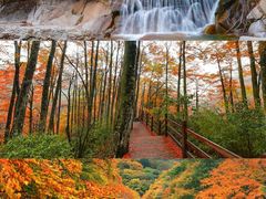 -光雾山旅游景区