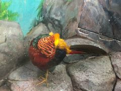 -福州罗源湾海洋世界旅游区