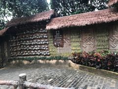 -海南槟榔谷黎苗文化旅游区