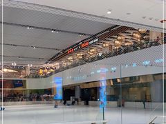 -TheRink大零溜冰场(IFS国金中心店)