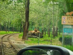 -秦皇岛野生动物园