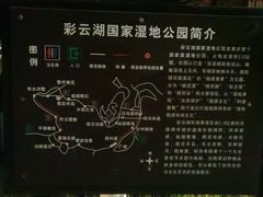 -重庆彩云湖湿地公园
