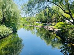 -上海滨江森林公园