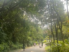 -深圳国际园林花卉博览园