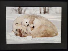 -罗红摄影艺术馆