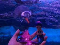 -暹罗海洋世界