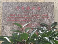 -八大关景区