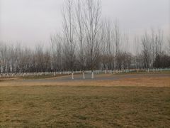 -汉长安城未央宫国家考古遗址公园