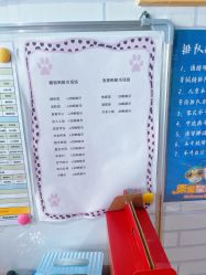 -秦皇星际小蚂蚁乐园