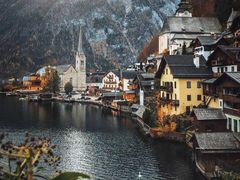 -张东风凉皮(凤翔小区店)