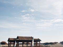 -金塔沙漠胡杨林景区