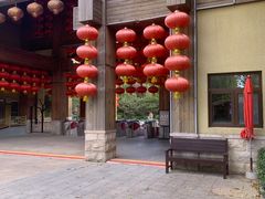 -南宫五洲植物乐园