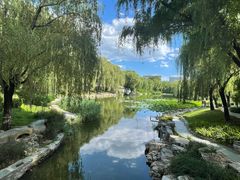 -三忘湖 SWANSEEN(柳荫公园店)