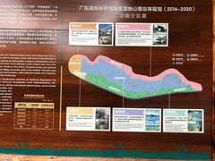 -华侨城湿地公园