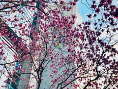 -上海来福士广场