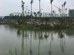 -枫香湖儿童公园