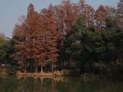 -东湖落雁景区