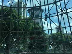 -爱雍·乌节