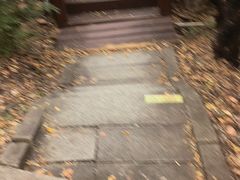 -吉林市朱雀山国家森林公园