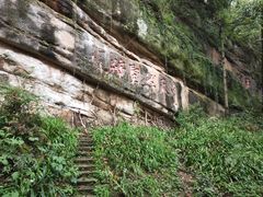 -青城山