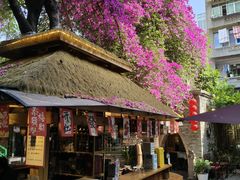 -川白楼·老成都院坝川菜鱼鲜馆(马鞍路店)