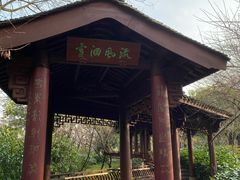 -杭州半山国家森林公园