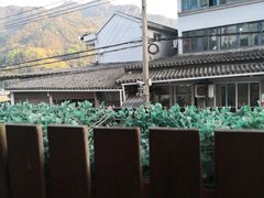 -泽雅景区