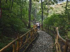 -香炉山国家森林公园