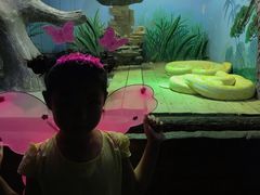 -石家庄市动物园