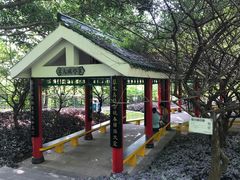 -金鸡山公园