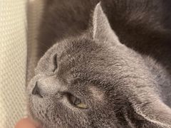 -春笙食堂.丼饭拉面寿司(GOGO新天地店)