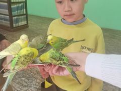 -上海昆虫博物馆