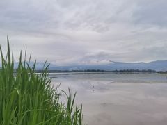 -西昌邛海湿地