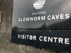 -怀托摩萤火虫洞