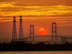 -宝安西湾红树林湿地公园